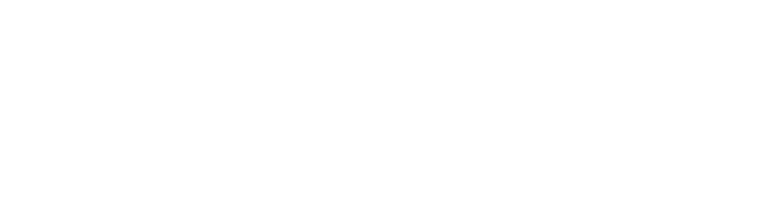 SSVIDEO — Camera movement